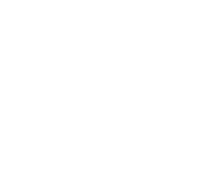 Royal LePage Red Diamond Award